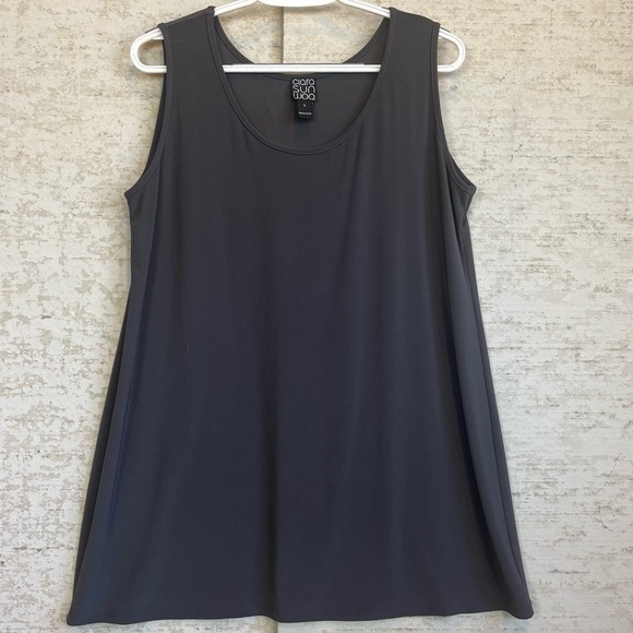 Ciara Sun Woo Charcoal Gray Tank Swing Tunic Dress Sz L Minimalist - Picture 1 of 12